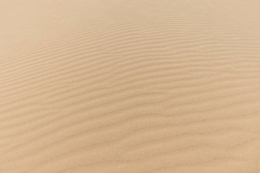 Kumda doku, Merzouga çölünde