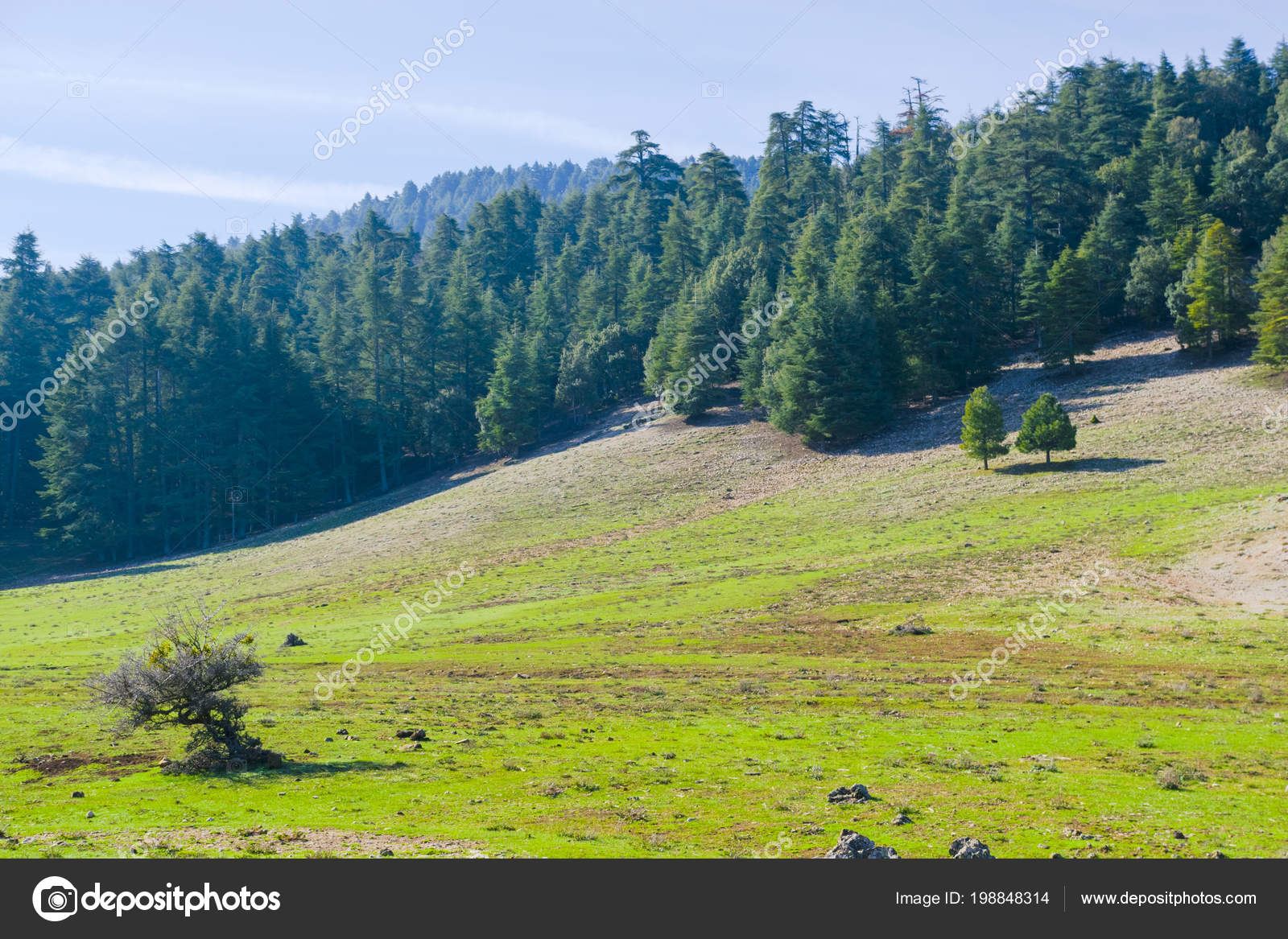 Landscape Middle Atlas Azrou Morocco Stock Photo C Fotonomada