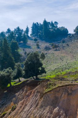 Yatay Orta Atlas, Azrou, Fas