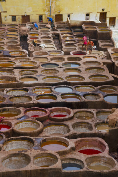 мужская живопись кожи в Фесе на древних кожевенных заводах в Медине
