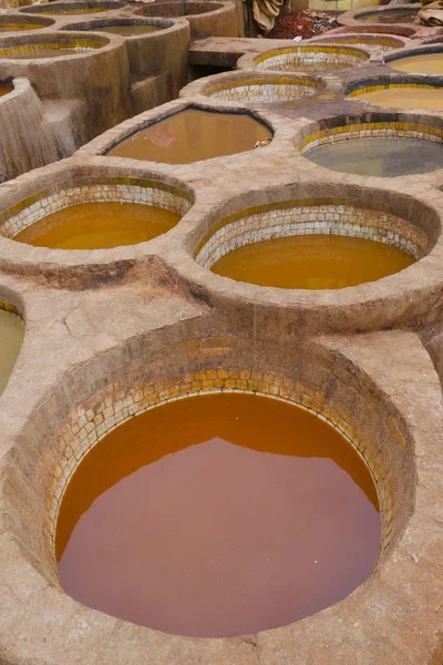 Painting the leather in Fez, the ancient tanneries in the heart of medina