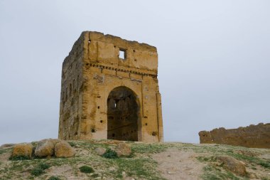 Marinid mezar veya Merenid mezarlar yukarıda ve Fes al-Bali, Fez, Fas eski şehrin kuzeyinde bir tepede anıt mezarlar kalıntıları bakın. Bugün, onlar da tarihi şehrin üzerinde bir popüler gözetleme noktası vardır.