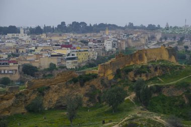 Marinid mezar veya Merenid mezarlar yukarıda ve Fes al-Bali, Fez, Fas eski şehrin kuzeyinde bir tepede anıt mezarlar kalıntıları bakın. Bugün, onlar da tarihi şehrin üzerinde bir popüler gözetleme noktası vardır.