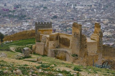 Marinid mezar veya Merenid mezarlar yukarıda ve Fes al-Bali, Fez, Fas eski şehrin kuzeyinde bir tepede anıt mezarlar kalıntıları bakın. Bugün, onlar da tarihi şehrin üzerinde bir popüler gözetleme noktası vardır.