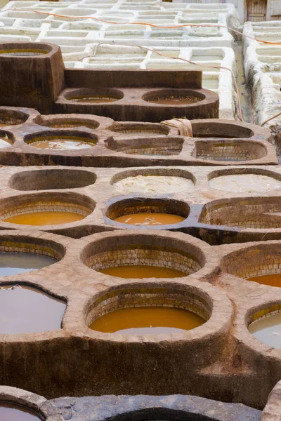 Painting the leather in Fez, the ancient tanneries in the heart of medina