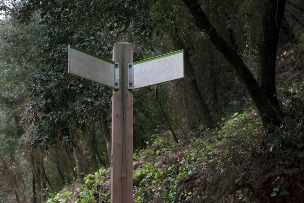 Hike in collserola mountain's wood — ストック写真