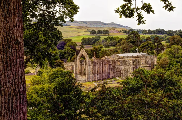 Rovina Dell Abbazia Medievale Bolton Nello Yorkshire Dales Regno Unito — Foto Stock