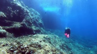 Sualtı sahnesi - Akdeniz resifinde kırmızı yüzgeçli dalgıç