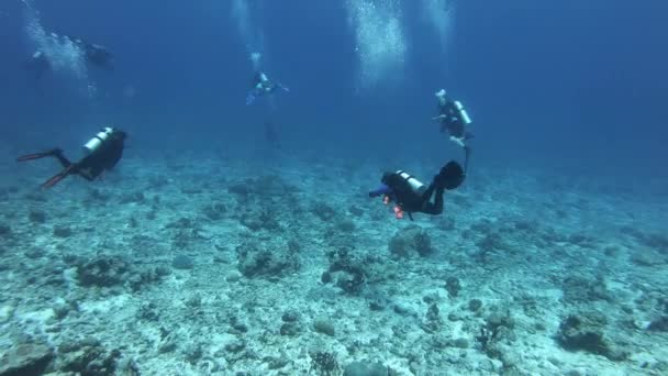 水流中的水肺潜水者 水下场景 — 图库视频影像