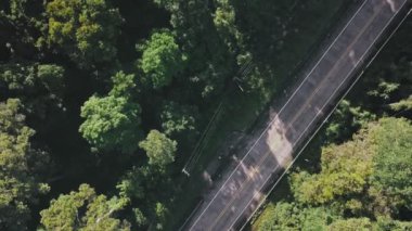 Güneydoğu Asia.The yol yağmur ormanlarında araçlık ormanda üzerinde uçuş