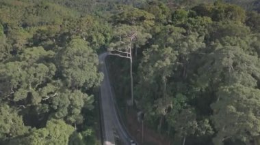 Güneydoğu Asia.The yol yağmur ormanlarında araçlık ormanda üzerinde uçuş