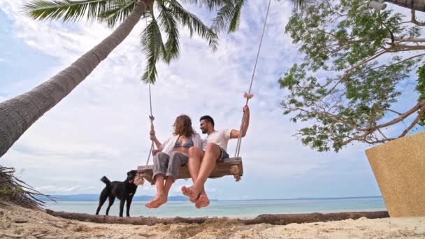 Una Joven Pareja Balanceándose Columpio Acariciando Perro Una Playa Tropical — Vídeo de stock