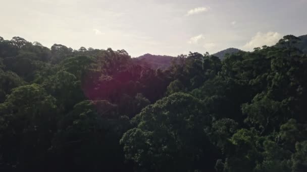 Voo Sobre Selva Sudeste Asiático Paisagem Floresta Tropical Colinas Céu — Vídeo de Stock