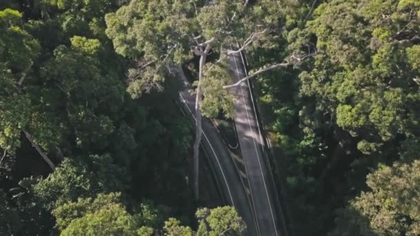 Repülés Alatt Délkeleti Asia Közúti Autók Esőerdők Dzsungel — Stock videók