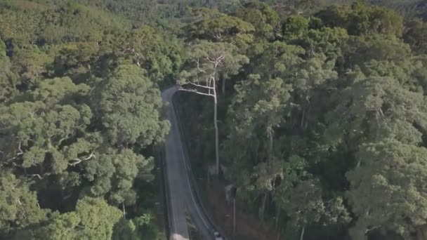 Repülés Alatt Délkeleti Asia Közúti Autók Esőerdők Dzsungel — Stock videók
