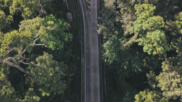 ジャングルの熱帯雨林で東南アジアの島国 車道でのフライト — ストック動画