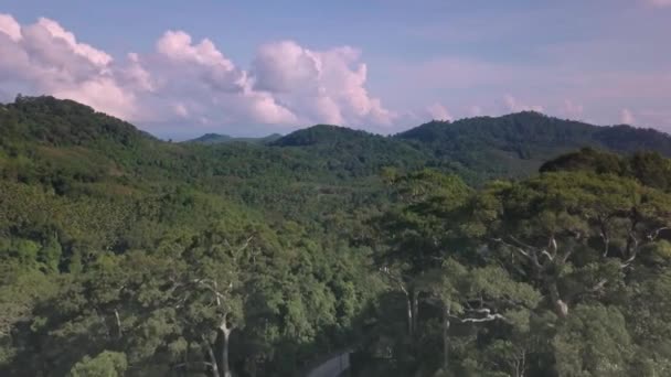 Vuelo Sobre Selva Sudeste Asia Camino Para Los Coches Selva — Vídeos de Stock