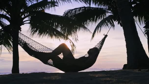 Uomo Disteso Hammock Fra Palme Sullo Sfondo Tramonto Silhouette Uomo — Video Stock