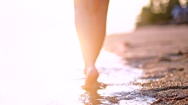 Barefoot Meisje Wandelingen Langs Kustlijn Stralen Van Ondergaande Zon — Stockvideo