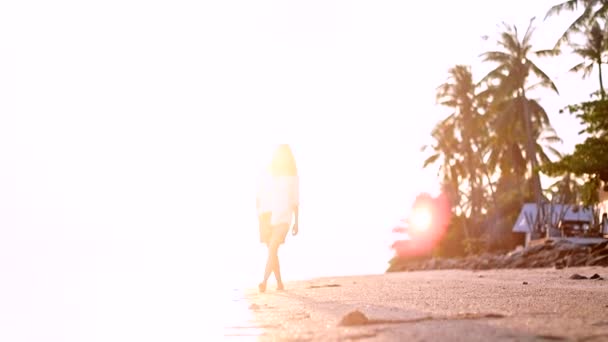 Hermosa Joven Caminando Largo Orilla Una Isla Tropical Atardecer Chica — Vídeos de Stock