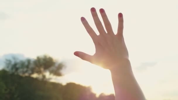 特写镜头的一只女手 阳光透过手指闪耀 日落时 阳光透过一个女孩的手指闪耀 — 图库视频影像