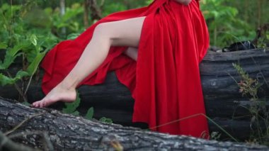 Genç ve güzel bir kız ormanda bir kütüküzerinde duruyor. Kırmızı elbiseli tatlı, genç bir kız ormanda duruyor. Yeşil bir ormanın ortasında genç bir bayan üzerinde kırmızı akşam soyunma.