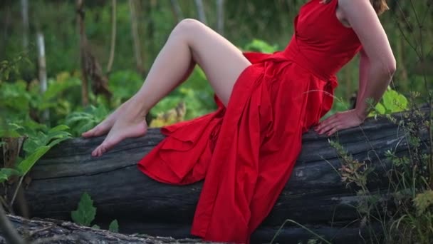 森の丸太の上に若くて美しい少女が立っている 赤いドレスを着た甘い若い女の子が森の中に立っている 緑の森の真ん中の若い女性に赤い夜のドレッシング — ストック動画