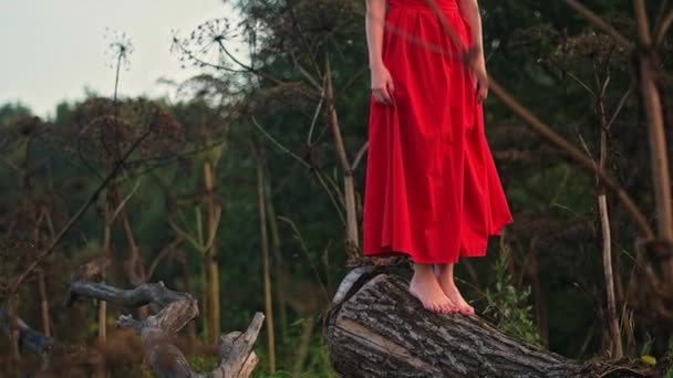 Young Beautiful Girl Standing Log Forest Sweet Young Girl Red — Stock Video