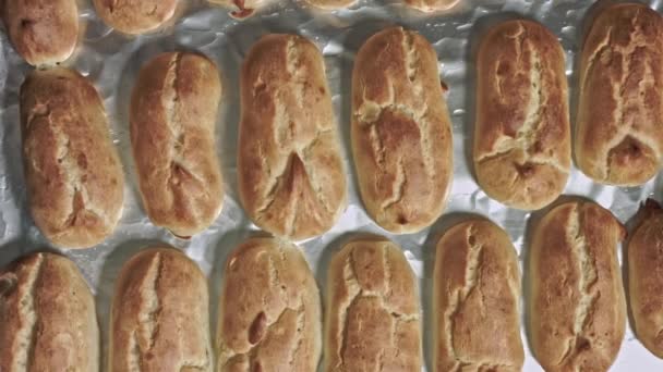 Frisch Gebackene Duftende Köstliche Eclairs Mit Goldener Kruste Hausgemachtes Dessert — Stockvideo