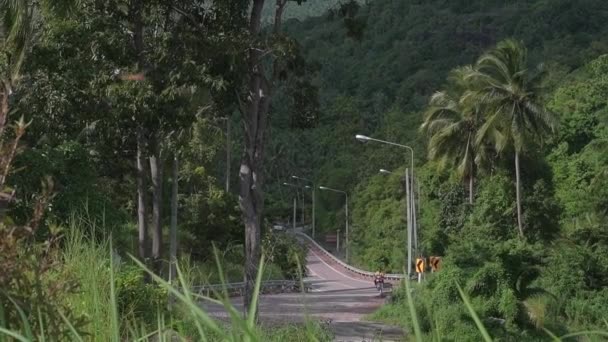 Transport Déplace Long Une Étroite Route Asphaltée Entre Jungle Tropicale — Video
