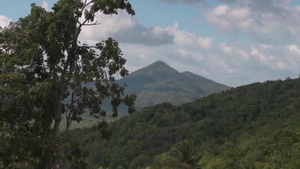 Transporte Viaja Largo Una Estrecha Carretera Asfalto Entre Selva Tropical — Vídeos de Stock