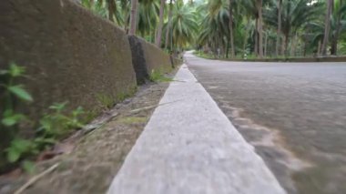 Ormanda temiz asfalt yolu. Güneşli bir yaz gününde yağmur ormanlarında ıssız bir yol. Yolun yüzeyi boyunca ağır çekim. Sarı yol işaretleriyle birlikte..