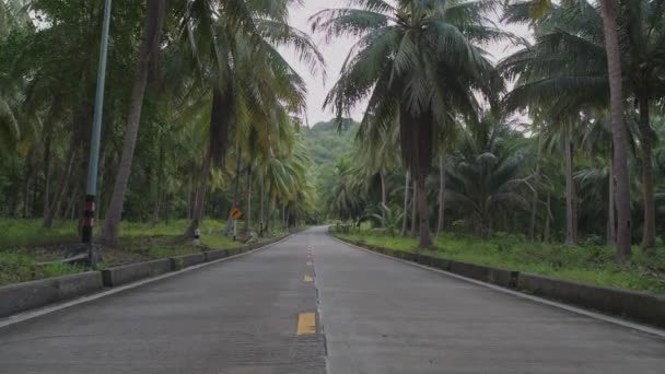 丛林里干净的柏油路一个阳光明媚的夏日 一条穿过雨林的荒无人烟的道路 沿着路面缓慢的运动 除了黄色的路标 — 图库视频影像