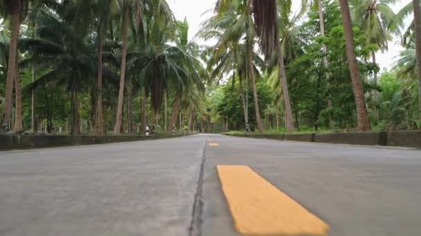 Route Asphaltée Propre Dans Jungle Une Route Déserte Travers Forêt — Video