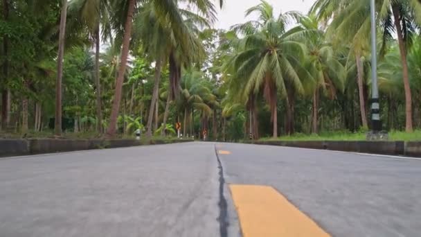 Czysta Asfaltowa Droga Dżungli Opuszczona Droga Przez Las Deszczowy Słoneczny — Wideo stockowe