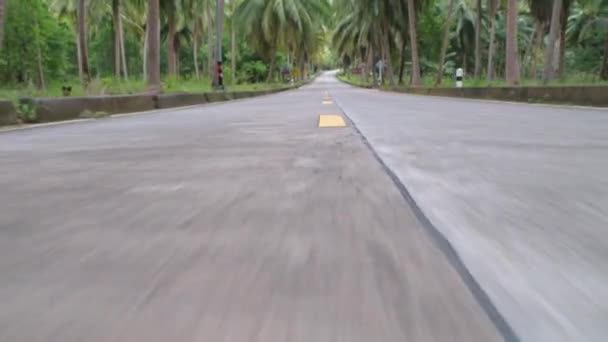 Чиста Асфальтована Дорога Джунглях Безлюдна Дорога Через Тропічні Ліси Ясний — стокове відео