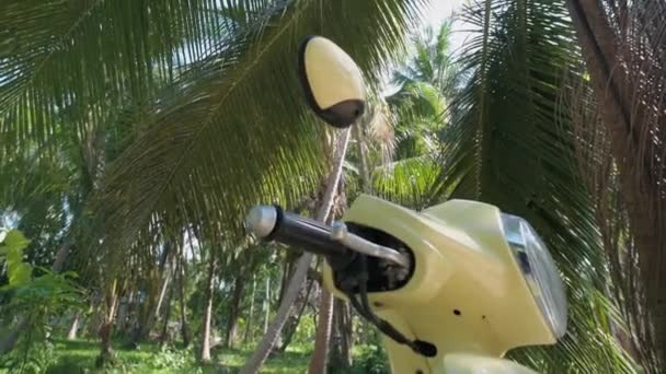 Jeune Homme Séduisant Assoit Sur Vélo Jaune Beau Mec Lunettes — Video