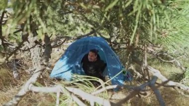 Genç bir turist sabahın erken saatlerinde güneşin doğuşuyla çadırdan çıkar. Kozalaklı ormanda kamp çadırı..