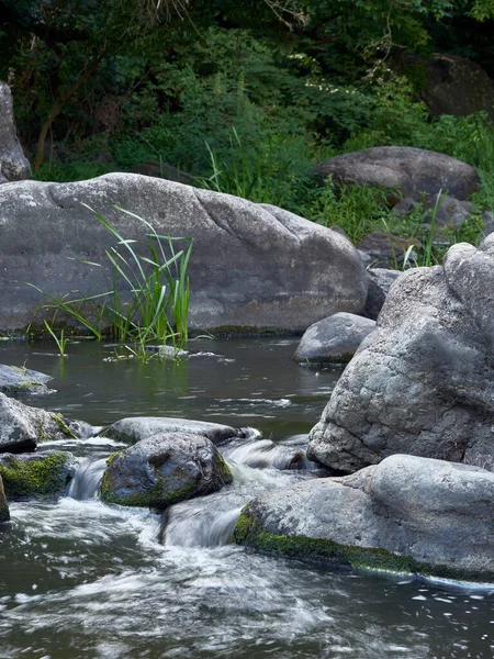 Kayalık dere yatağının üzerinden akan kaynak suyu.      