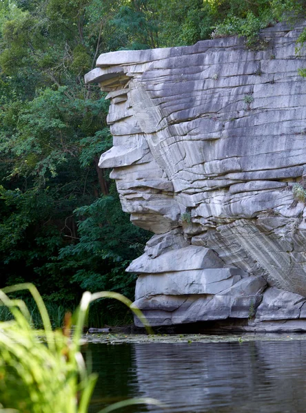 Big white rocks and forest behind lake. Bright tall grass and rocks reflection in water.