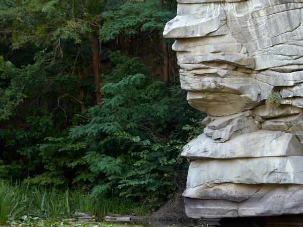 Gölün arkasındaki büyük beyaz kayalar ve orman. Kayaların suda yansıması.   