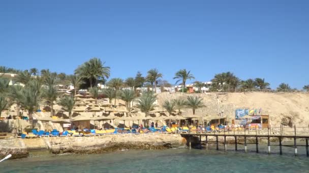 Parasols op het strand. De ligbedden op het strand — Stockvideo