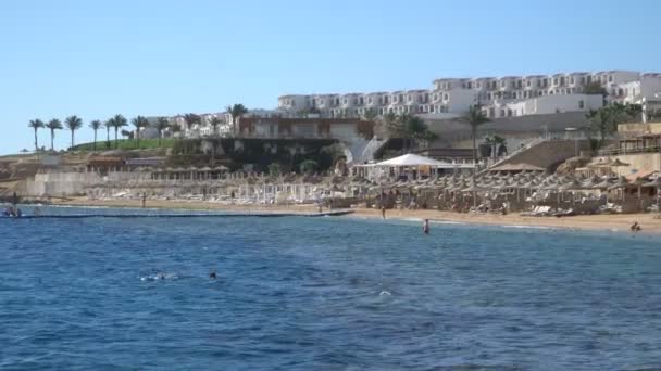 Vista al mar Terraza y palmeras — Vídeos de Stock