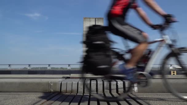 Magdeburg su Köprüsü. Ünlü Wasserstrasenkreuz — Stok video