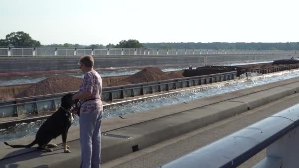 Navio de carga fluvial se movendo nas proximidades através da ponte de água, Magdeburg, Alemanha. 30.09.2018 — Vídeo de Stock