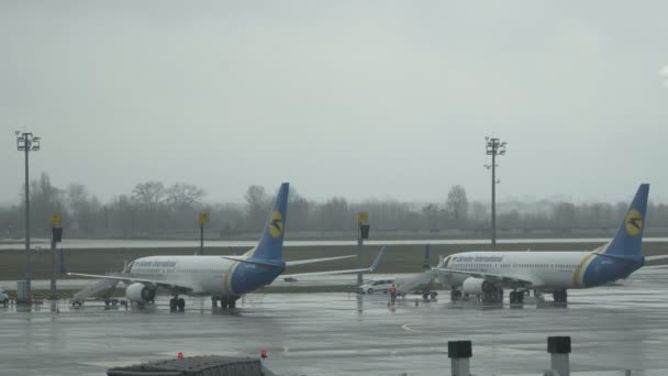 Pesawat penumpang, pesawat, jet dekat terminal di bandara menunggu penumpang naik di terminal. Kyiv, Ukraina 16.11.2018 — Stok Video