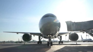 Havaalanında ticari uçak park yeri. Kiev, Ukrayna 16.09.2019