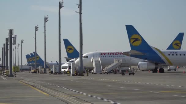 Parking comercial de aviones en el aeropuerto. Kiev, Ucrania 16.09.2019 — Vídeo de stock