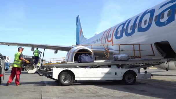 Muitas malas de viagem. Bagagem quando carregada em um avião. Bagagem e sacos de viagem. Kiev, Ucrânia 16.09.2019 — Vídeo de Stock