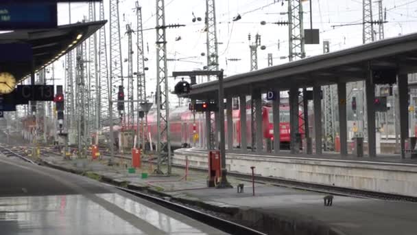 Spoorjet trein in Frankfurt Hauptbahnhof. Spoorwegstation. Frankfurt, Duitsland, 26.05.2020 — Stockvideo